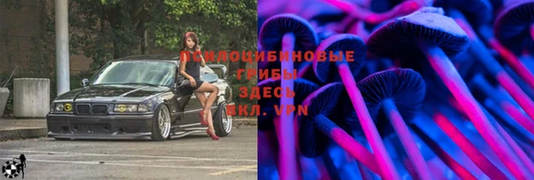 метадон Арсеньев