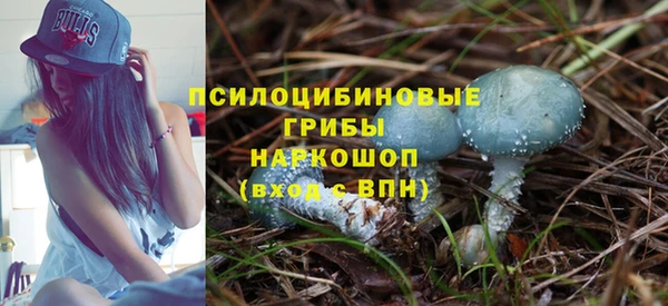 метадон Арсеньев