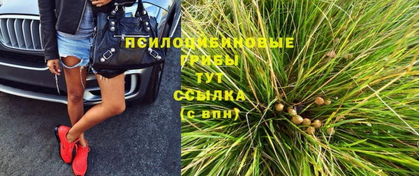 ешки Алзамай