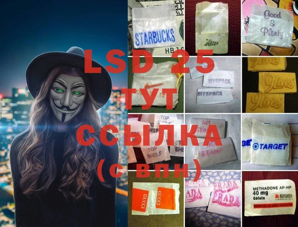 стаф Алексин